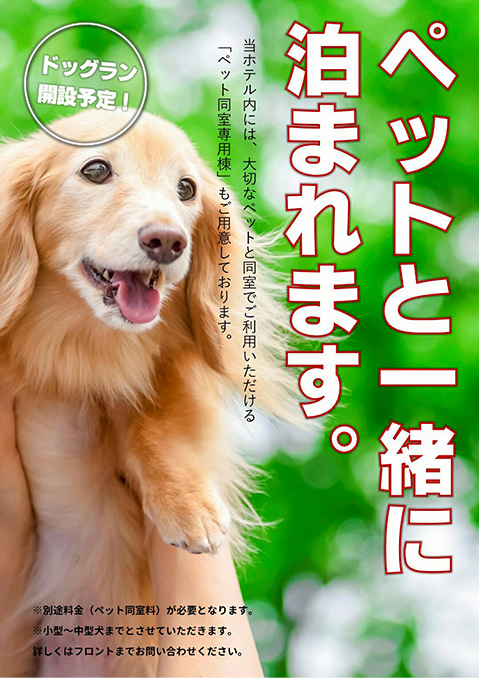 ペットと一緒に泊まれます!